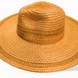 The Classic Sun Hat